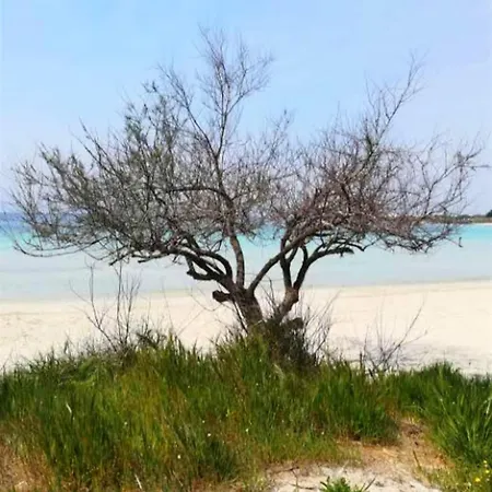 Spiaggiabella Hotel 3*