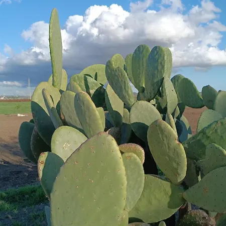Spiaggiabella Torre Rinalda