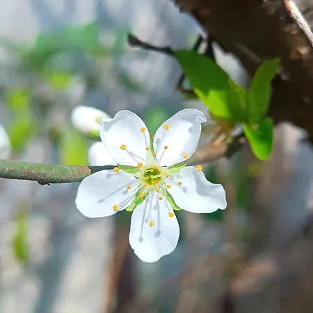 Hotel Spiaggiabella 3*