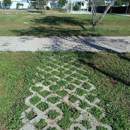 Spiaggiabella Torre Rinalda