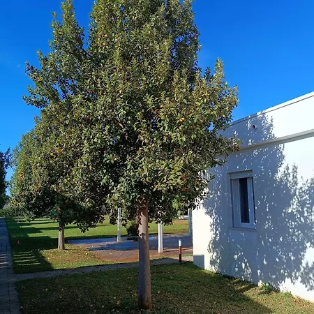 Spiaggiabella Torre Rinalda