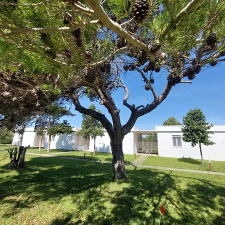 Spiaggiabella Hotel Torre Rinalda