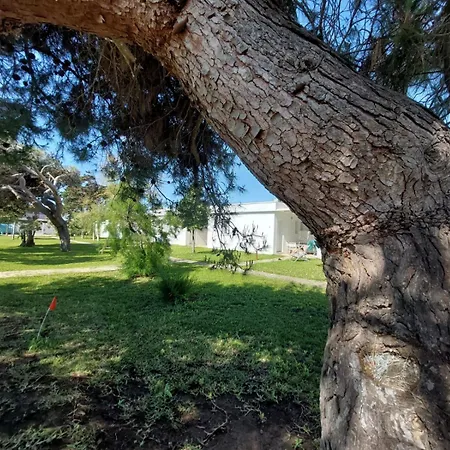 Spiaggiabella 3* Torre Rinalda