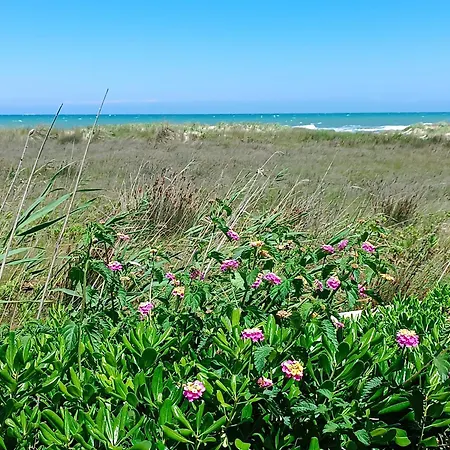 Hotel Spiaggiabella 3*