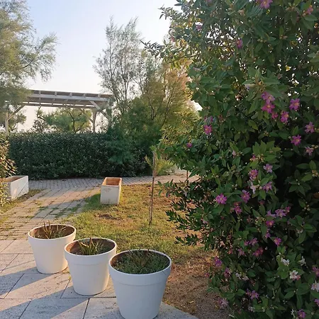 Hotel Spiaggiabella 3*