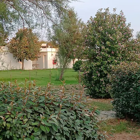 Spiaggiabella Torre Rinalda