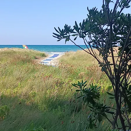 Szálloda Spiaggiabella Torre rinalda