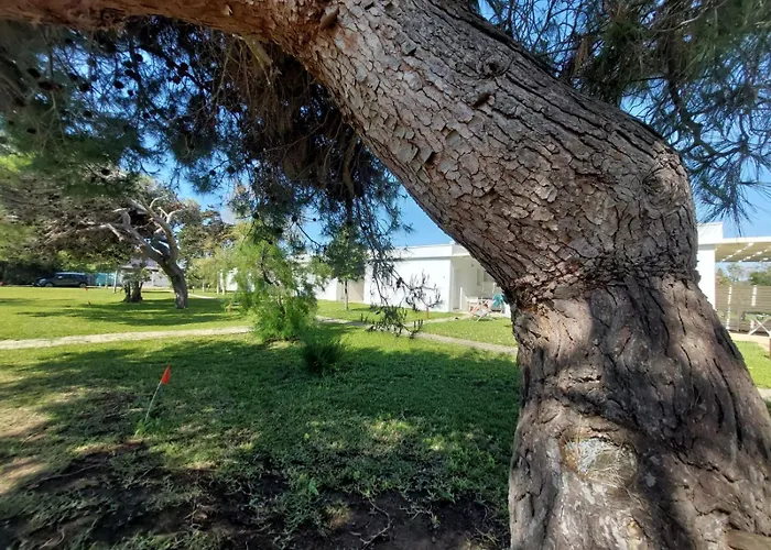 Spiaggiabella 3* Torre Rinalda