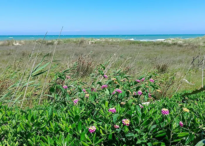 Hotel Spiaggiabella 3*